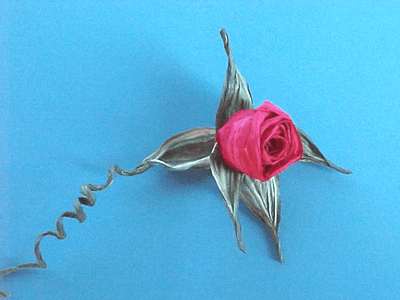 Twisted Rose.